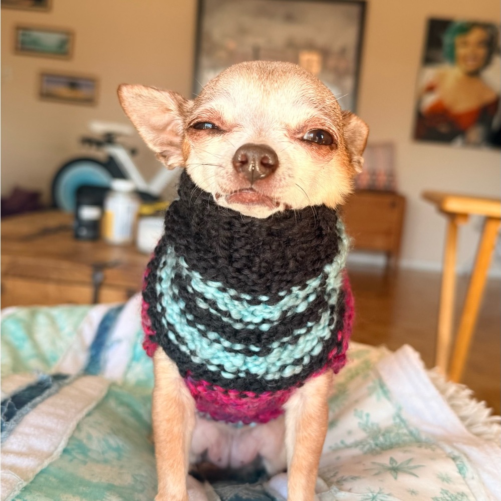🧶 Hand-Knit Dog Sweater + Matching Beanie Set – XS OR Small 🧶